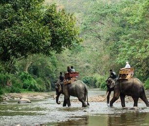 Chitwan